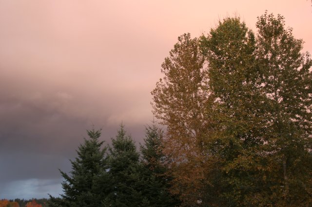 Alin Constantin's Photography - Nature pictures - Strange Redmond sky
(Click on the picture for the full-size version)