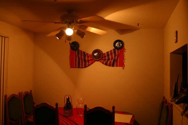 Demonstrat intern, extern direct & bounced flash - Canon 300D, no flash
(Click on the picture for the full-size version)