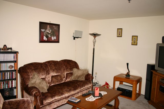 Demonstrat intern, extern direct & bounced flash - Canon 300D, cu flash - better, meeteringul a fost pe sofa
(Click on the picture for the full-size version)