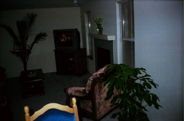 Pictures from another millenium
(Click on the picture for the full-size version)