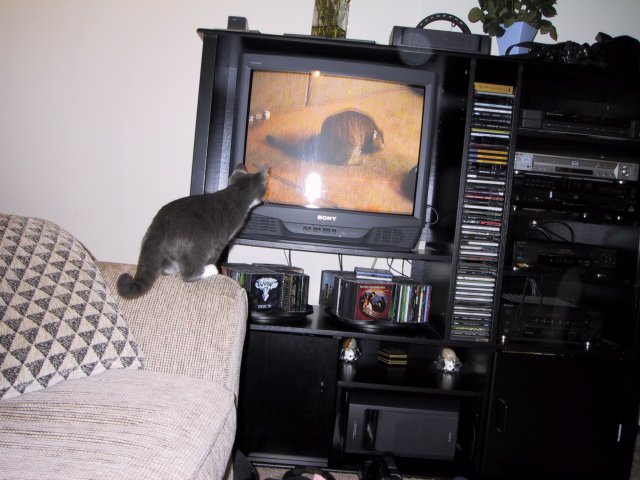 Thanksgiving 2001 at Willy
(Click on the picture for the full-size version)