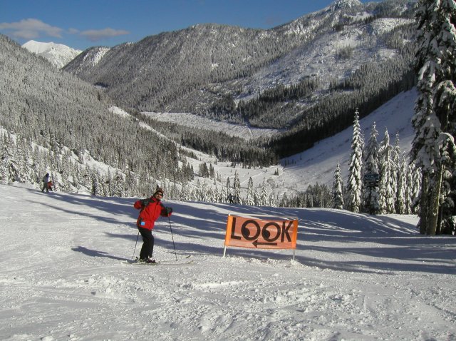 At Stevens Pass, 02-23-2003
(Click on the picture for the full-size version)