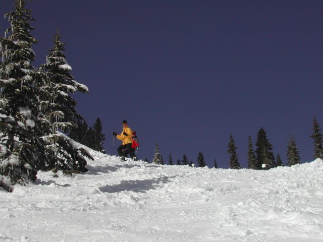 Alin Constantin's Photography - At Stevens Pass, 02-23-2003
(Click on the picture for the full-size version)