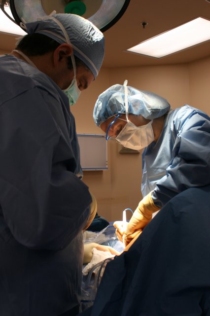 Dr. Katherine Van Kessel doing the first incision [IMG_8942.JPG]