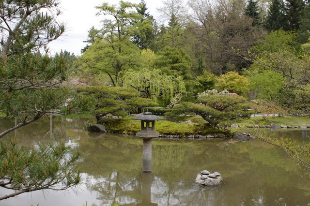 Alin Constantin's Photography - In Japanese Garden and Arboretum
(Click on the picture for the full-size version)