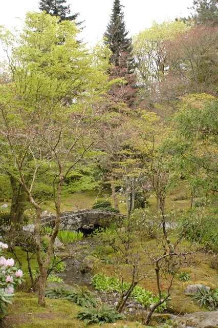 In Japanese Garden and Arboretum
(Click on the picture for the full-size version)
