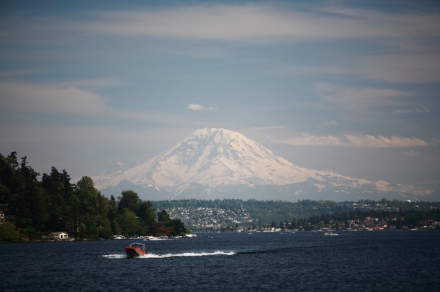Alin Constantin's Photography - In Seward Park
(Click on the picture for the full-size version)