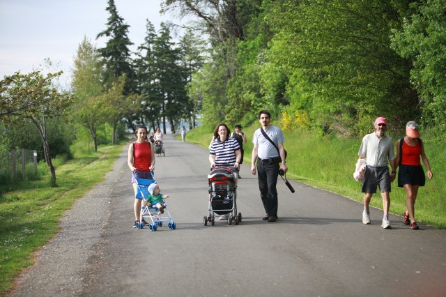 Alin Constantin's Photography - In Seward Park
(Click on the picture for the full-size version)