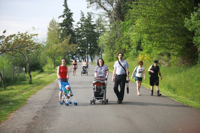 Alin Constantin's Photography - In Seward Park
(Click on the picture for the full-size version)