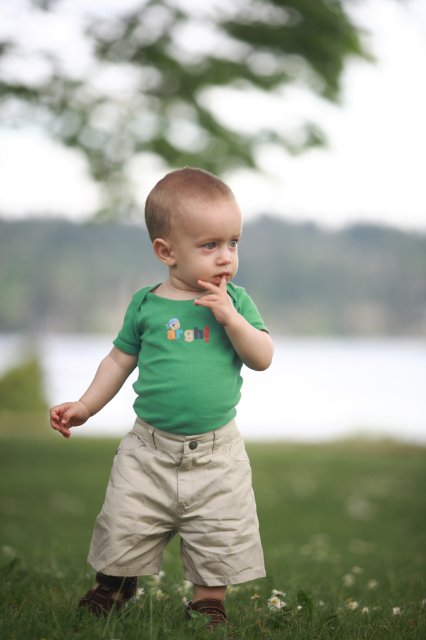 Alin Constantin's Photography - In Seward Park
(Click on the picture for the full-size version)