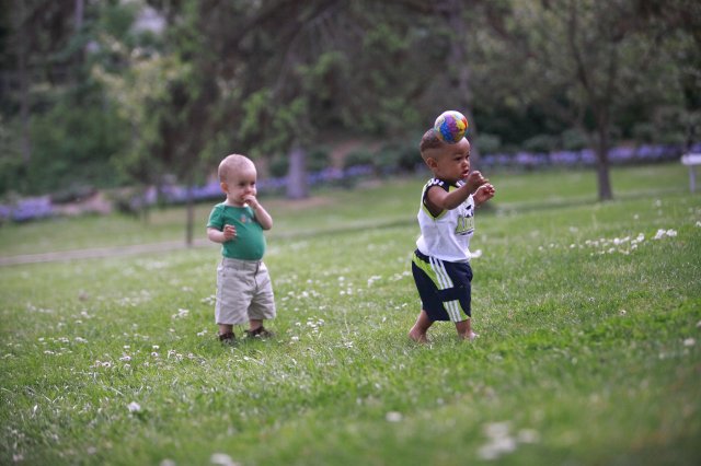 Alin Constantin's Photography - In Seward Park
(Click on the picture for the full-size version)