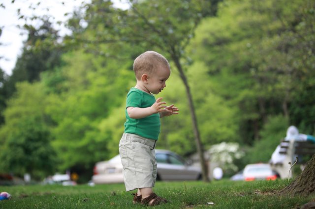 Alin Constantin's Photography - In Seward Park
(Click on the picture for the full-size version)