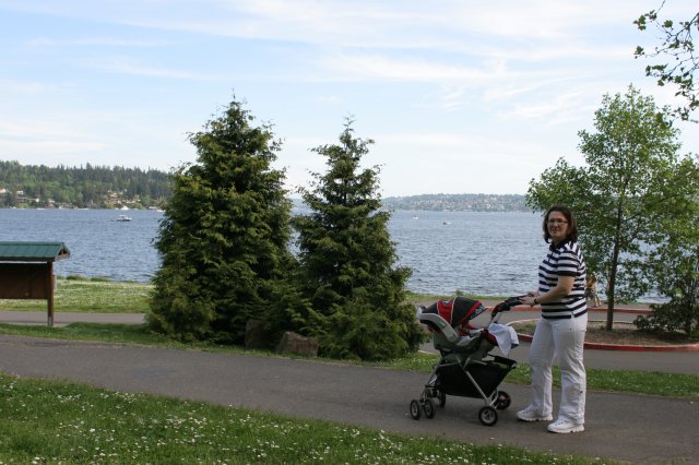 In Seward Park
(Click on the picture for the full-size version)