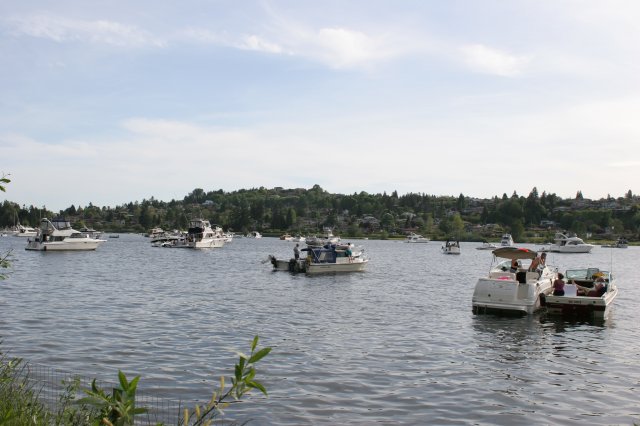 Alin Constantin's Photography - In Seward Park
(Click on the picture for the full-size version)