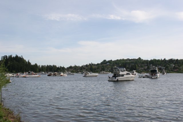 Alin Constantin's Photography - In Seward Park
(Click on the picture for the full-size version)