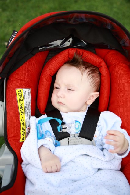 Alin Constantin's Photography - In Juanita park
(Click on the picture for the full-size version)