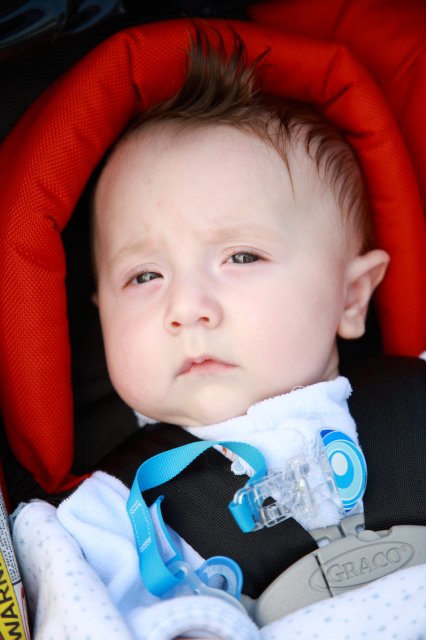 Alin Constantin's Photography - In Juanita park
(Click on the picture for the full-size version)