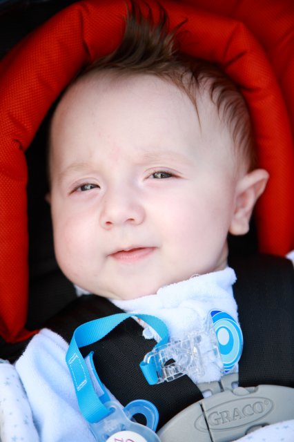 Alin Constantin's Photography - In Juanita park
(Click on the picture for the full-size version)