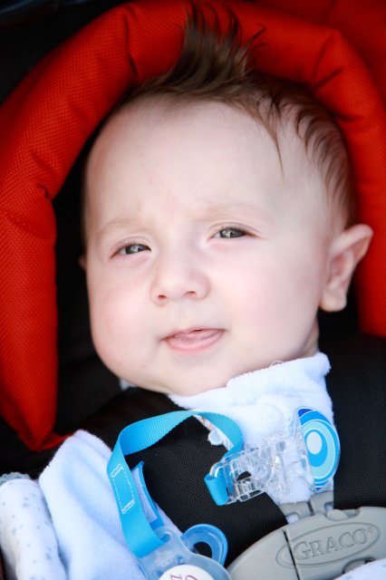 Alin Constantin's Photography - In Juanita park
(Click on the picture for the full-size version)