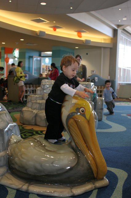 In Bellevue Square
(Click on the picture for the full-size version)