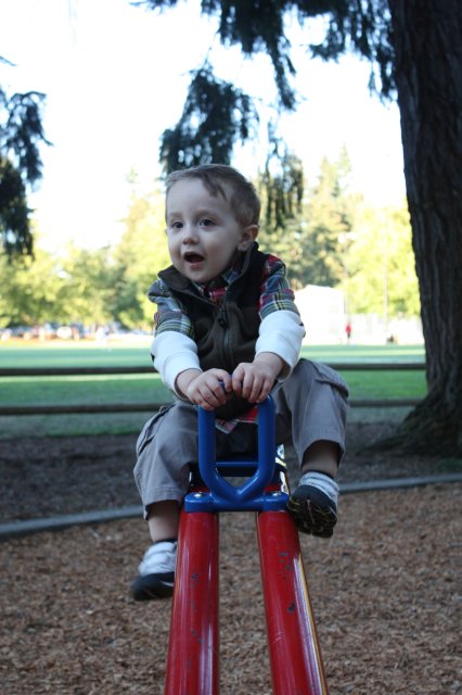 In Robinswood park
(Click on the picture for the full-size version)