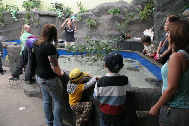 Point Defiance Zoo, Tacoma, 9/21
(Click on the picture for the full-size version)