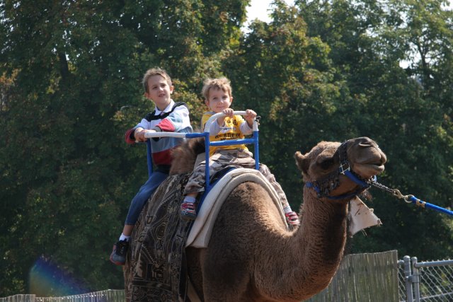Point Defiance Zoo, Tacoma, 9/21
(Click on the picture for the full-size version)