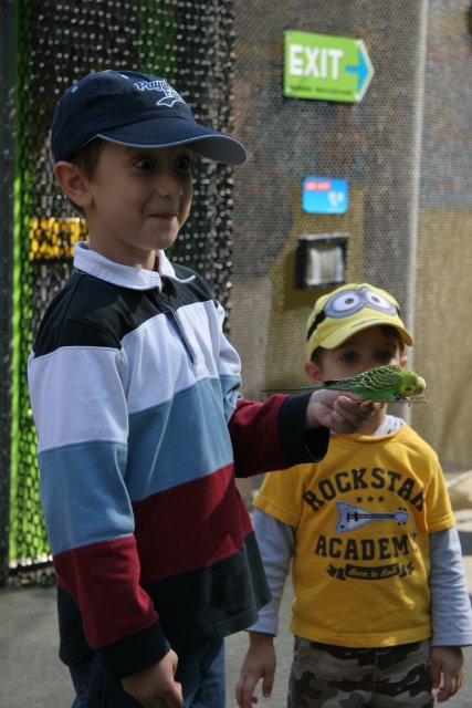 Point Defiance Zoo, Tacoma, 9/21
(Click on the picture for the full-size version)