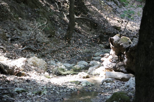 Butterflies Valley, Petaloudes
(Click on the picture for the full-size version)