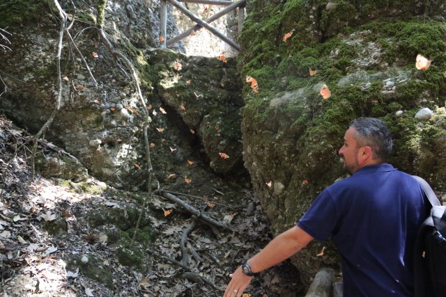 Butterflies Valley, Petaloudes
(Click on the picture for the full-size version)