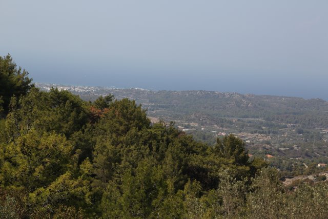 Kalopetra
(Click on the picture for the full-size version)