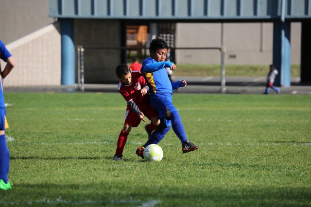 Vlad's soccer match, 10/22
(Click on the picture for the full-size version)