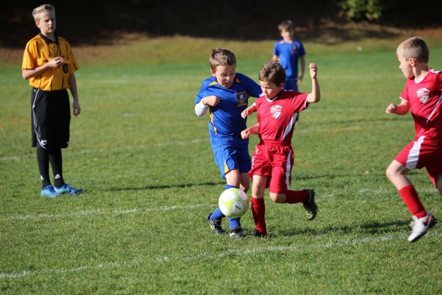 Vlad's soccer match, 10/22
(Click on the picture for the full-size version)