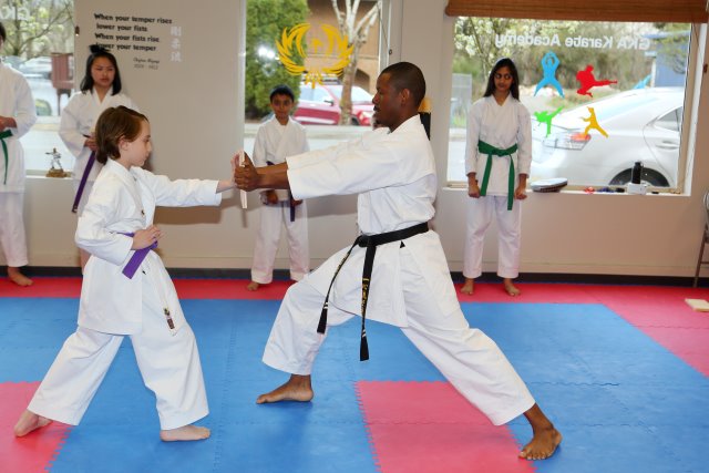 Vlad's Karate 4th Kyu 
(Click on the picture for the full-size version)