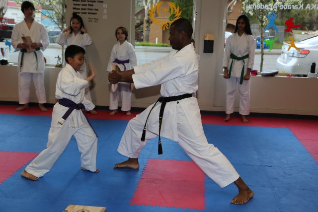 Vlad's Karate 4th Kyu 
(Click on the picture for the full-size version)