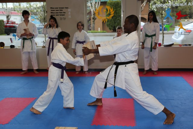Vlad's Karate 4th Kyu 
(Click on the picture for the full-size version)