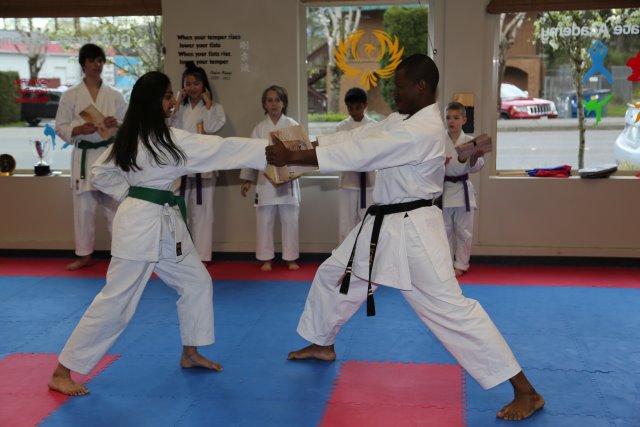 Vlad's Karate 4th Kyu 
(Click on the picture for the full-size version)