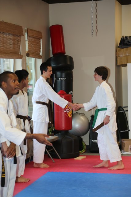 Vlad's Karate 4th Kyu 
(Click on the picture for the full-size version)