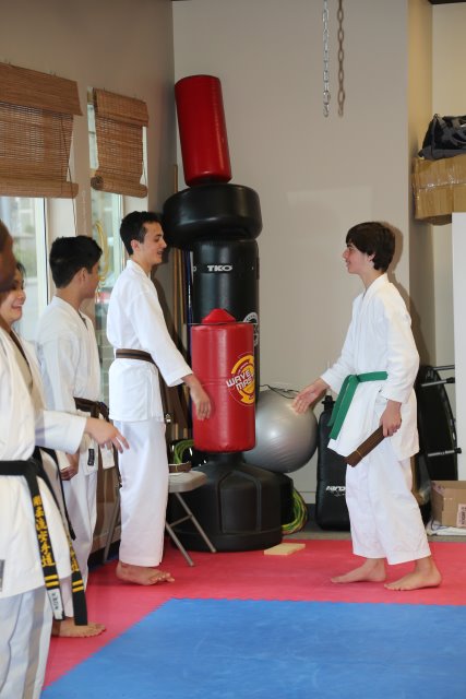 Vlad's Karate 4th Kyu 
(Click on the picture for the full-size version)