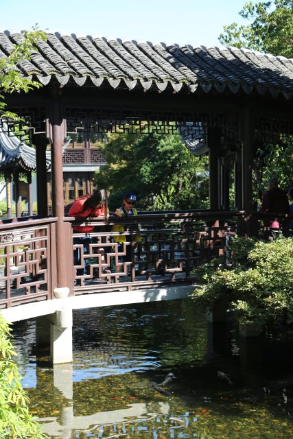 Alin Constantin's Photography - Portland Lan Su Chinese garden
(Click on the picture for the full-size version)