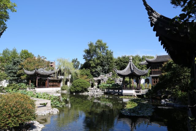Alin Constantin's Photography - Portland Lan Su Chinese garden
(Click on the picture for the full-size version)