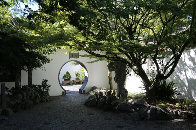 Portland Lan Su Chinese garden
(Click on the picture for the full-size version)