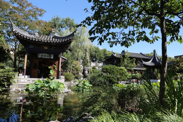 Portland Lan Su Chinese garden
(Click on the picture for the full-size version)