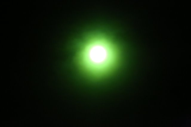 Alin Constantin's Photography - Eclipse @ Madras
(Click on the picture for the full-size version)