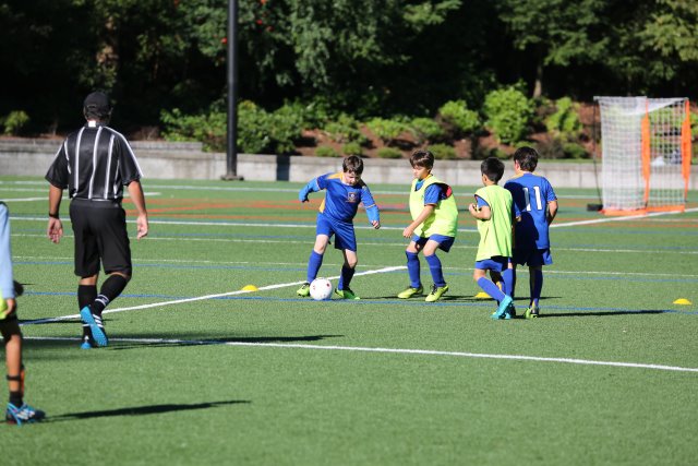 Vlad pre-season jamboree Soccer vs Panthers, Blue Phoenix, Eastgate Eagles, 9/02
(Click on the picture for the full-size version)