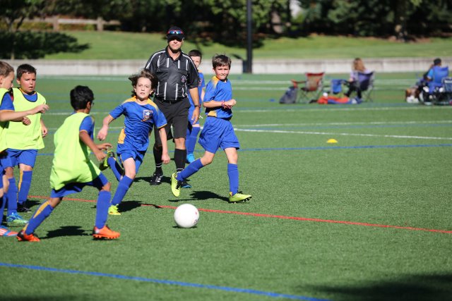 Vlad pre-season jamboree Soccer vs Panthers, Blue Phoenix, Eastgate Eagles, 9/02
(Click on the picture for the full-size version)