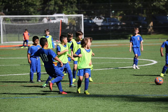 Vlad pre-season jamboree Soccer vs Panthers, Blue Phoenix, Eastgate Eagles, 9/02
(Click on the picture for the full-size version)