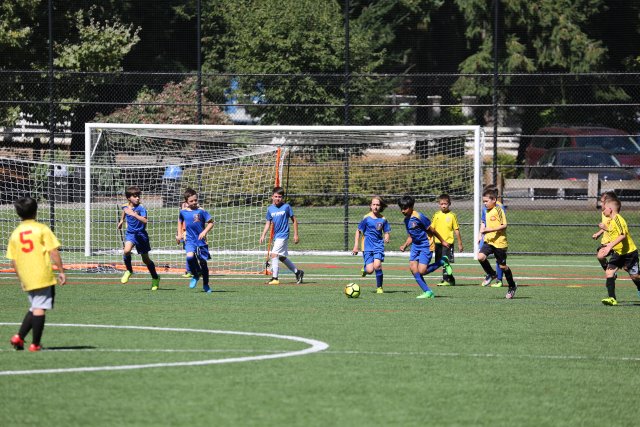 Vlad pre-season jamboree Soccer vs Panthers, Blue Phoenix, Eastgate Eagles, 9/02
(Click on the picture for the full-size version)