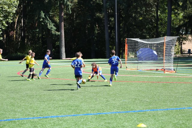 Vlad pre-season jamboree Soccer vs Panthers, Blue Phoenix, Eastgate Eagles, 9/02
(Click on the picture for the full-size version)