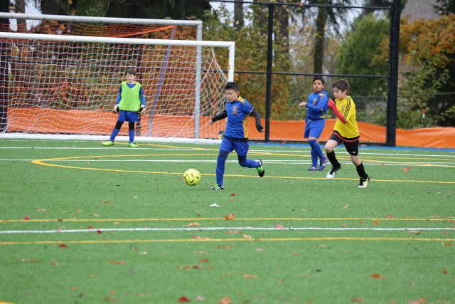 Vlad Final Soccer Match 11/11
(Click on the picture for the full-size version)